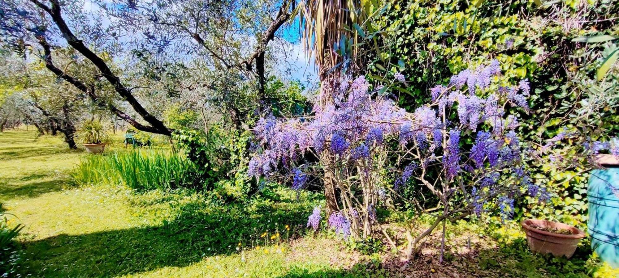 הוילה Larciano La Casa Dei Nonni מראה חיצוני תמונה