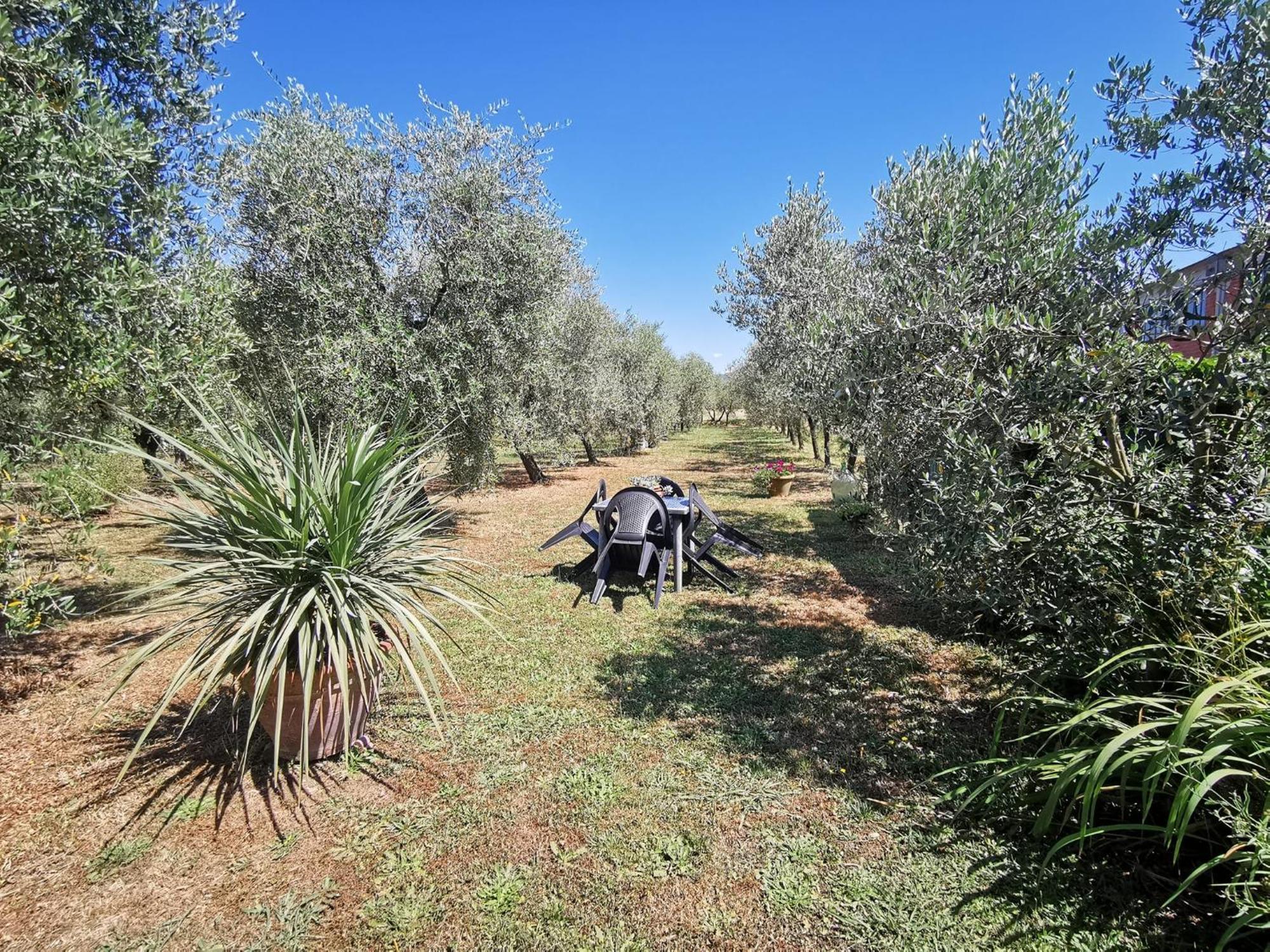 הוילה Larciano La Casa Dei Nonni מראה חיצוני תמונה